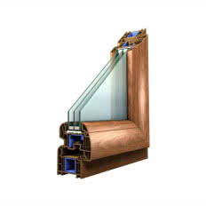 Okno Platinium Evolution²
